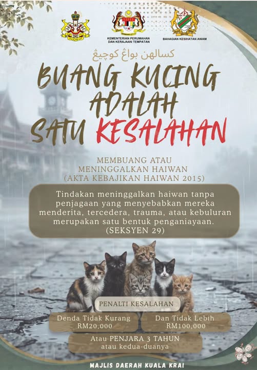 🐱 𝗕𝗨𝗔𝗡𝗚 𝗞𝗨𝗖𝗜𝗡𝗚 𝗔𝗗𝗔𝗟𝗔𝗛 𝗦𝗔𝗧𝗨 𝗞𝗘𝗦𝗔𝗟𝗔𝗛𝗔𝗡 🐱